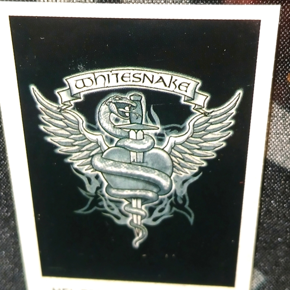 COPY - Whitesnake flag